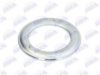 BTA B06-2072 Cap, wheel bearing